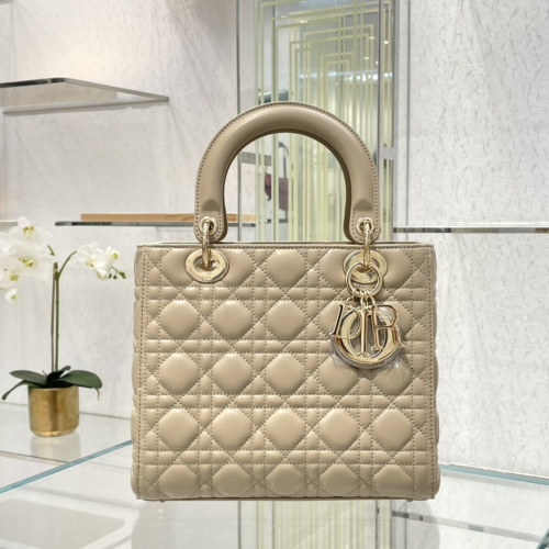 Lady Dior 24CM For God Factory