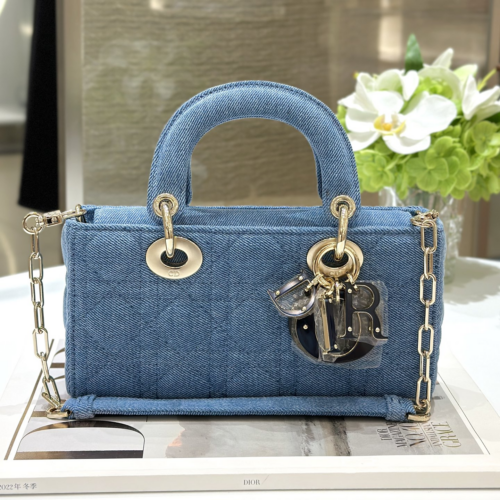 Dior D-joy Bag 22CM For God Factory