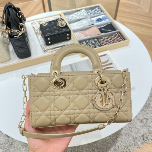 Dior D-joy Bag 22CM For God Factory