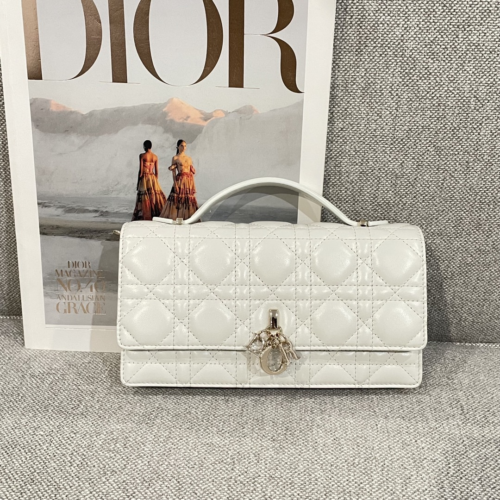 Dior Pearl Woc Bag 21CM for God Factory