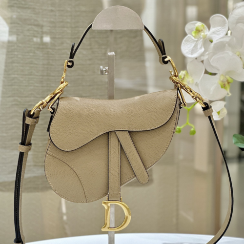 Dior Saddle Bag Small 21CM For God Factory