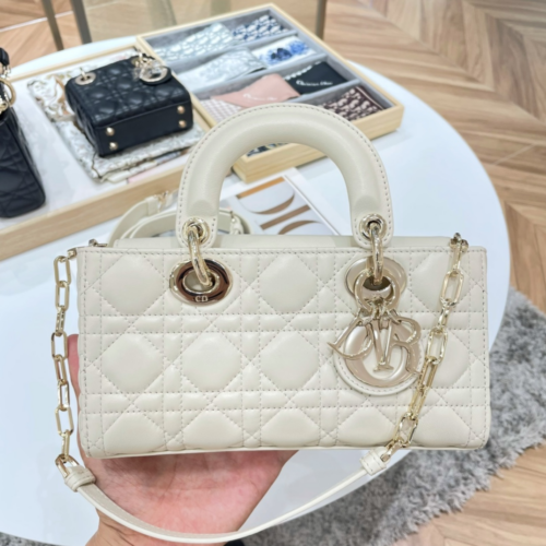 Dior D-joy Bag 22CM For God Factory