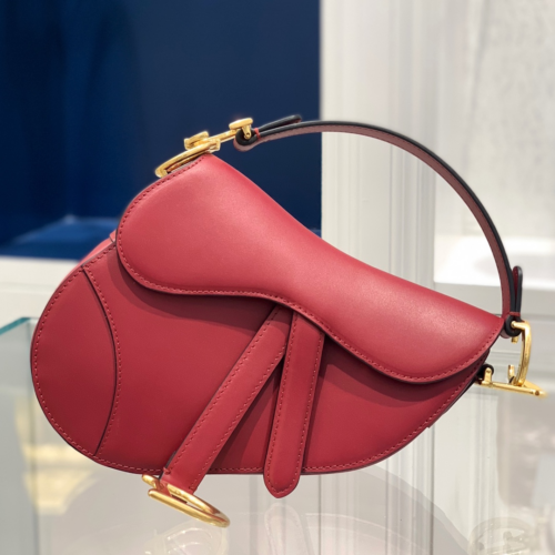 Dior Saddle Bag Small 21CM For God Factory