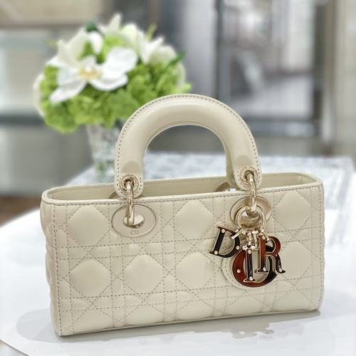 Dior D-joy Bag 22CM For God Factory