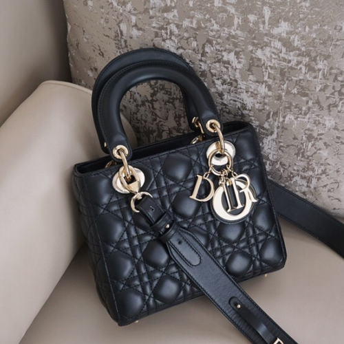 Lady Dior 20CM For Angel Factory