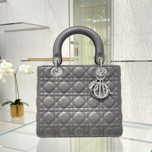 Lady Dior 24CM For God Factory