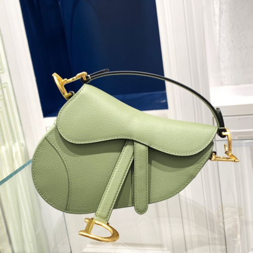 Dior Saddle Bag Small 21CM For God Factory