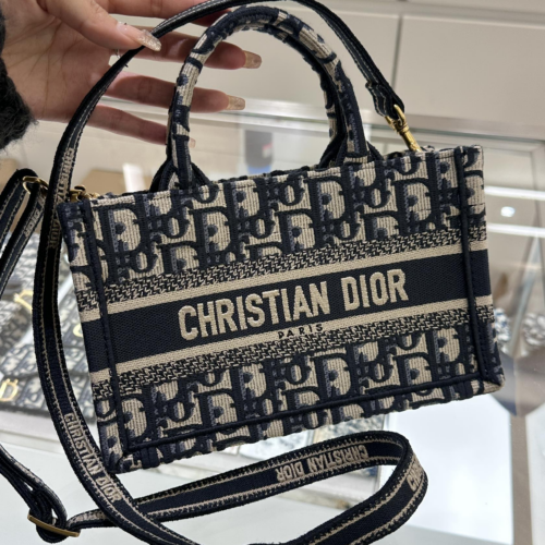 Dior Book Tote Bag Mini 22.5CM For God Factory