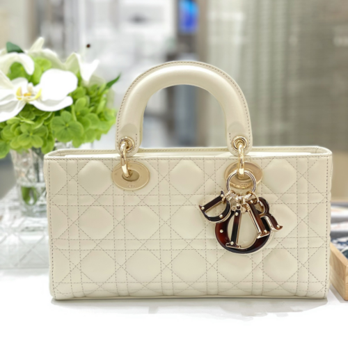 Dior D-joy Bag 26CM For God Factory