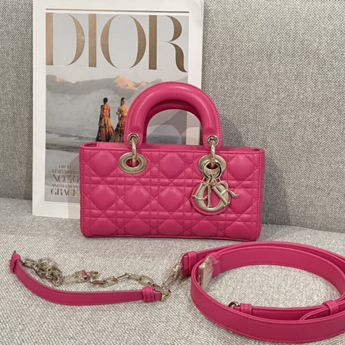 Dior D-joy Bag 22CM For God Factory