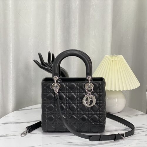 Dior Lady D-Lite 24CM M44550 For CD Factory