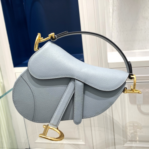 Dior Saddle Bag Small 21CM For God Factory