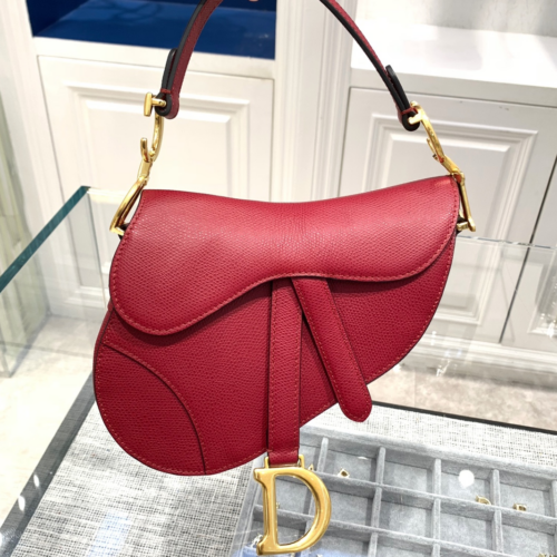 Dior Saddle Bag Small 21CM For God Factory