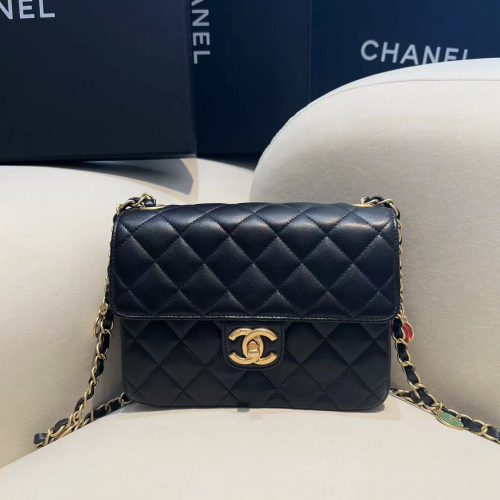 Chanel 23C Bag 19CM For God Factory