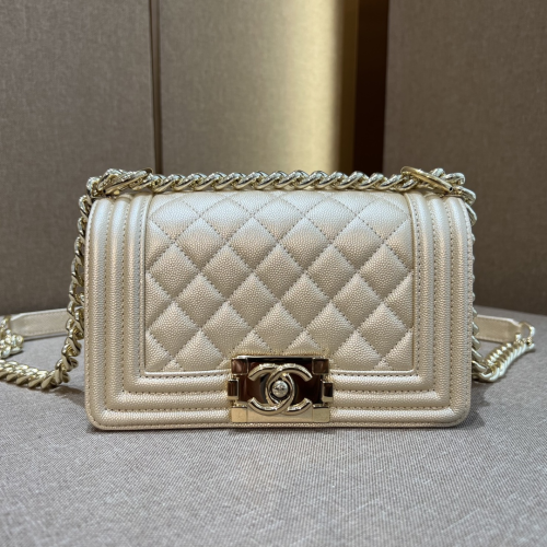 Chanel Leboy Bag 20CM For God Factory